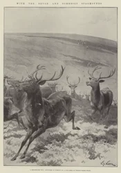 Con i Segugi di Devon e Somerset